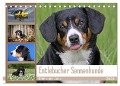 Entlebucher Sennenhunde Emma und Luna (Tischkalender 2024 DIN A5 quer), CALVENDO Monatskalender - SchnelleWelten SchnelleWelten
