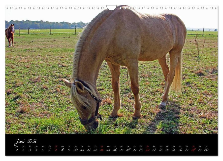 InsideView 11