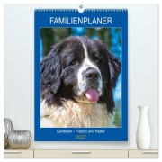 Cover-Bild zum Titel 'Familienplaner Landseer - Freund und Retter (hochwertiger Premium Wandkalender 2027 DIN A2 hoch), Kunstdruck in Hochglanz' von 'Sigrid Starick'