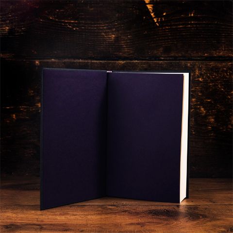 InsideView 7