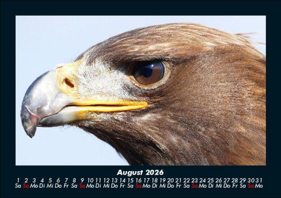 InsideView 12