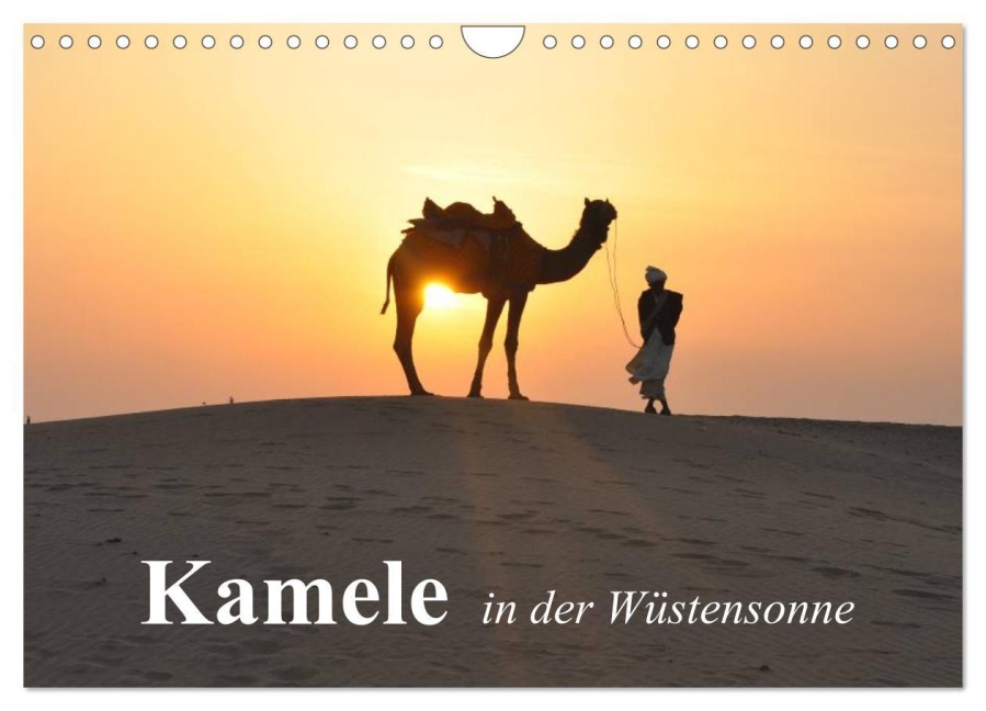 Kamele in der Wüstensonne (Wandkalender 2026 DIN A4 quer), CALVENDO Monatskalender - Elisabeth Stanzer