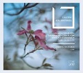 Cover-Bild zum Titel 'Lautengalanterie' von 'Alberto Crugnola'
