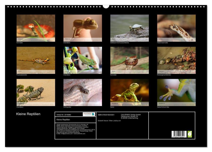 InsideView 5