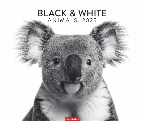 Black & White Animals 2025 - 