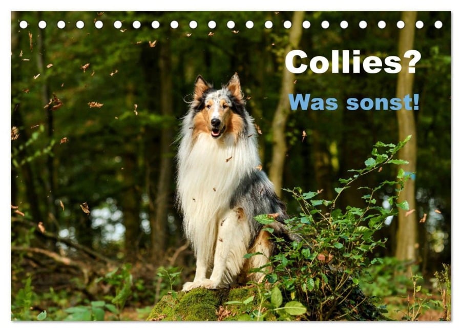 Collies? Was sonst! (Tischkalender 2026 DIN A5 quer), CALVENDO Monatskalender - Yvonne Janetzek