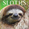 Sloths 2024 12 X 12 Wall Calendar - Willow Creek Press
