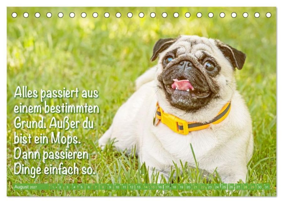 InsideView 13