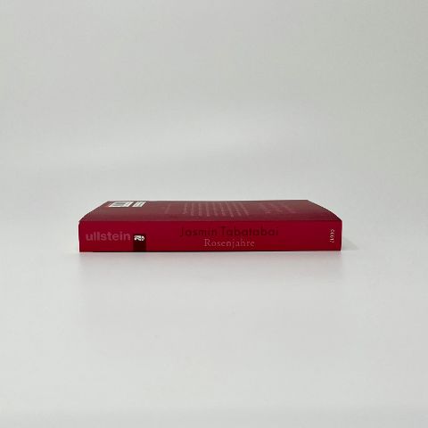InsideView 5