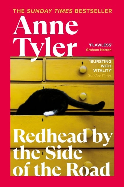 Redhead by the Side of the Road - Anne Tyler