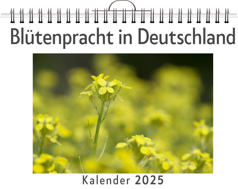 Blütenpracht in Deutschland - Anton Scholz
