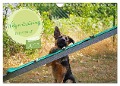 Welpentraining auf dem Hundeplatz (Wandkalender 2025 DIN A4 quer), CALVENDO Monatskalender - Babett Paul - Babetts Bildergalerie