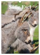 Cover-Bild zum Titel 'Süße Esel. Langohren zum Verlieben (Wandkalender 2026 DIN A3 hoch), CALVENDO Monatskalender' von 'Elisabeth Stanzer'