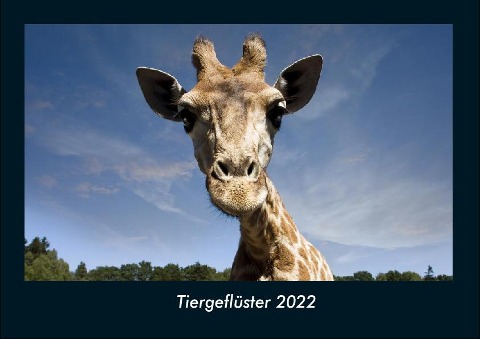 Tiergeflüster 2022 Fotokalender DIN A4 - Tobias Becker