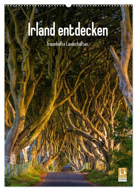 Irland entdecken (Wandkalender 2025 DIN A2 hoch), CALVENDO Monatskalender - Christian Ringer