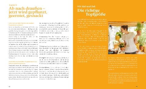 InsideView 6