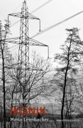 Cover-Bild zum Titel 'IKONIK' von 'Mario Leimbacher'