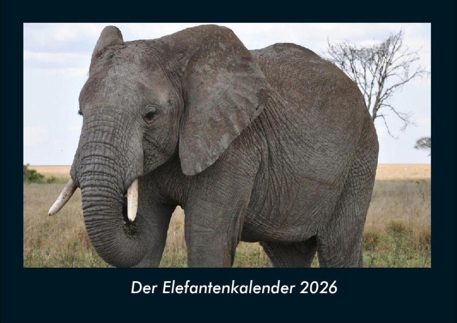 Der Elefantenkalender 2026 Fotokalender DIN A4 - Tobias Becker