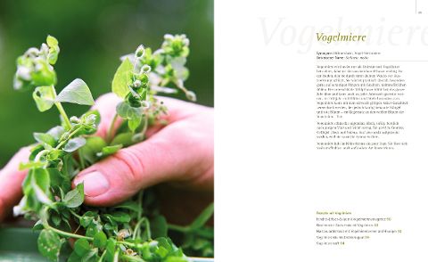 InsideView 5