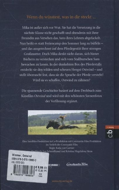 InsideView 1