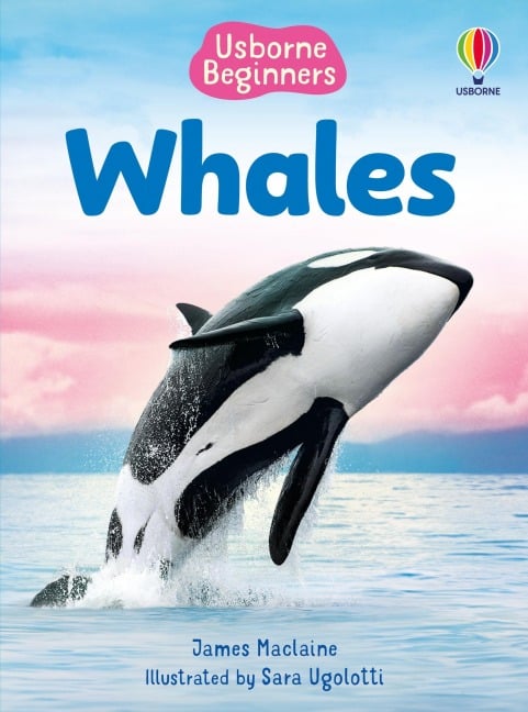 Beginners Whales - James Maclaine
