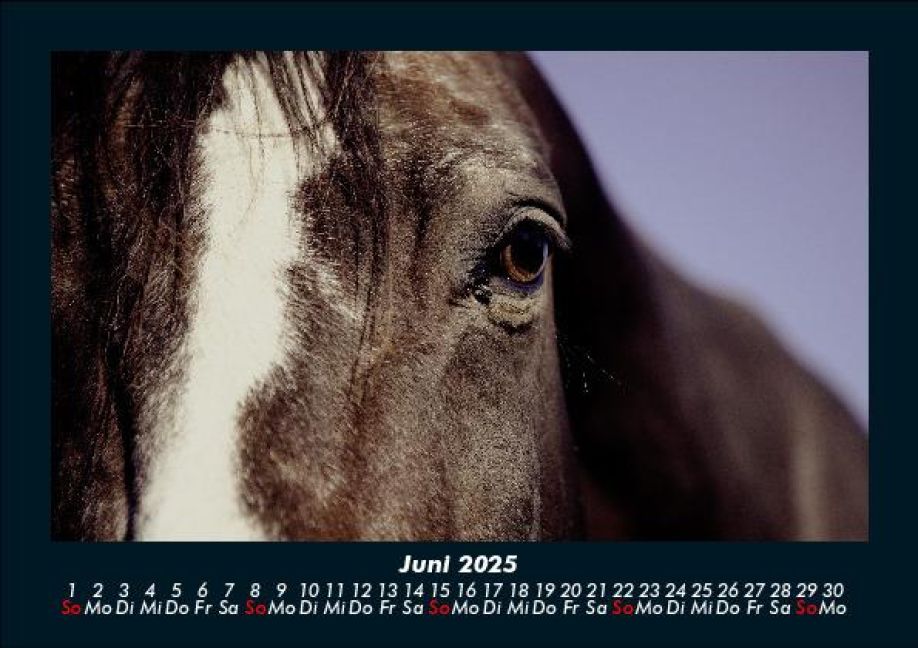 InsideView 10