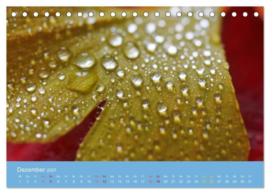 InsideView 4