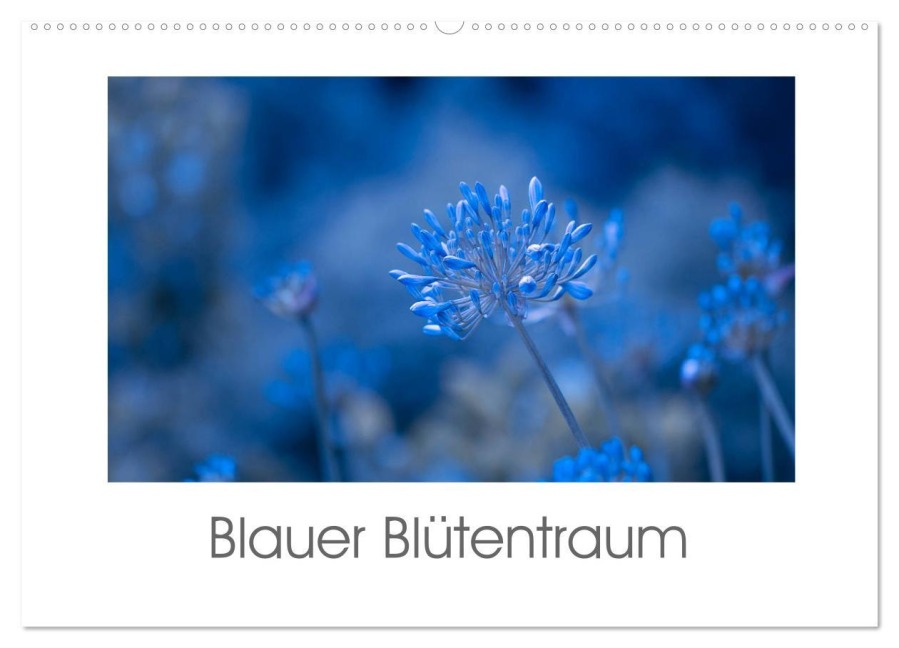 Blauer Blütentraum (Wandkalender 2026 DIN A2 quer), CALVENDO Monatskalender - Ulrike Adam