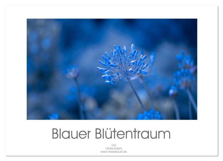 Blauer Blütentraum (Wandkalender 2026 DIN A2 quer), CALVENDO Monatskalender - Ulrike Adam
