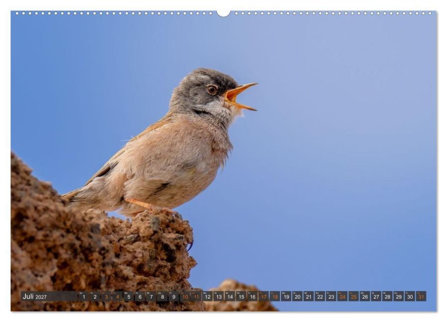 InsideView 12