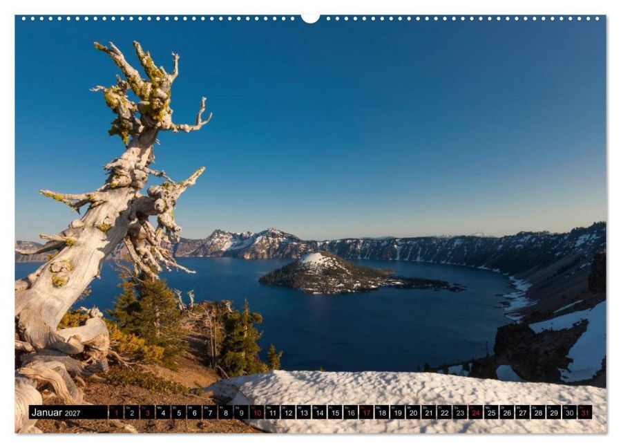 InsideView 5