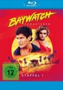Cover-Bild zum Titel 'Baywatch' von 'Gregory J. Bonann, Michael Berk, Douglas Schwartz, David Braff, Deborah Schwartz'