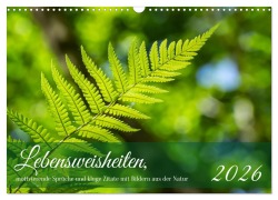 Cover-Bild zum Titel 'Lebensweisheiten, motivierende Sprüche und kluge Zitate mit Bildern der Natur (Wandkalender 2026 DIN A3 quer), CALVENDO Monatskalender' von 'Angela Rohde'