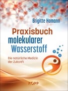 Praxisbuch molekularer Wasserstoff - Brigitte Hamann