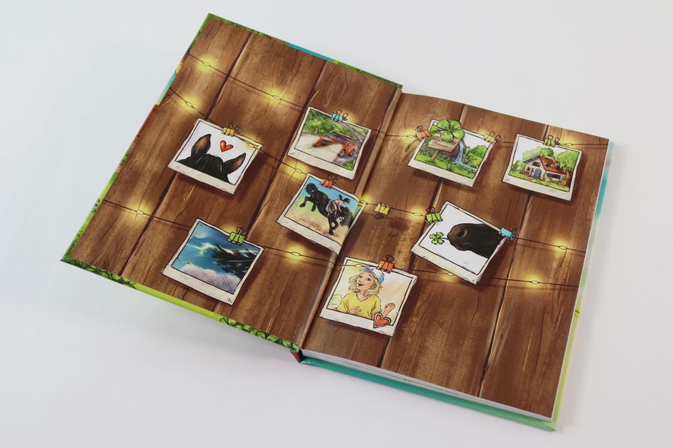 InsideView 5