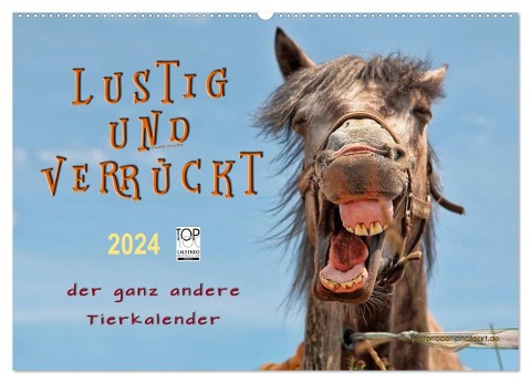Lustig und verrückt - der ganz andere Tierkalender (Wandkalender 2024 DIN A2 quer), CALVENDO Monatskalender - Peter Roder