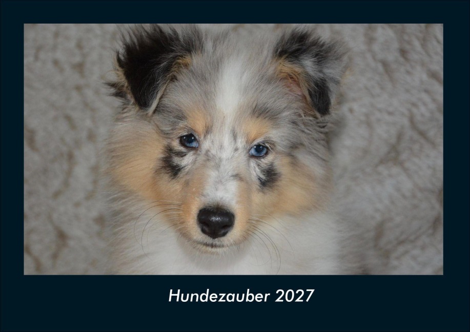 Hundezauber 2027 Fotokalender DIN A4 - Tobias Schmitt, Kevin Heber