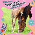 Cover-Bild zum Titel 'Tjejerna på ridklubben 4 - Stallvakt åt Lilian' von 'Karla Schniering'