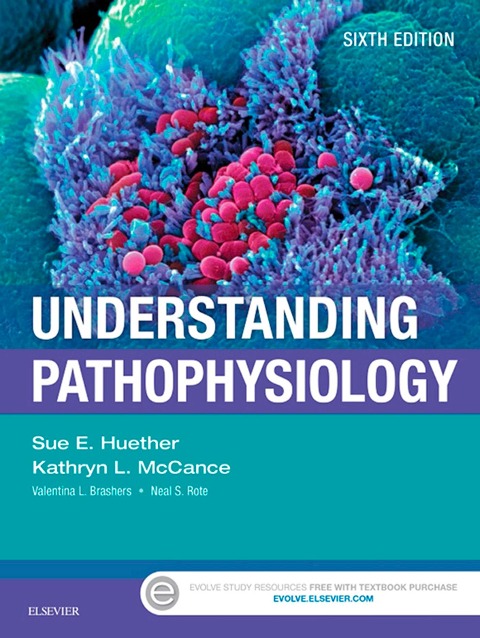 Understanding Pathophysiology - E-Book - Sue E. Huether, Kathryn L. Mccance