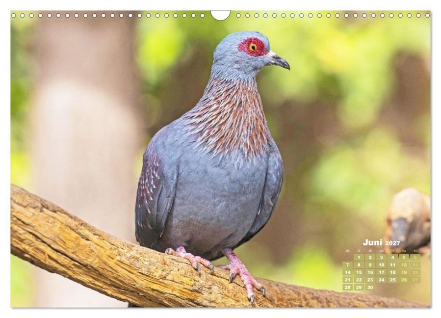 InsideView 11