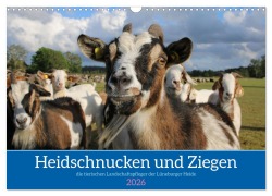 Cover-Bild zum Titel 'Heidschnucken und Ziegen die tierischen Landschaftspfleger der Lüneburger Heide (Wandkalender 2026 DIN A3 quer), CALVENDO Monatskalender' von 'Sandra Lorenzen-Müller'