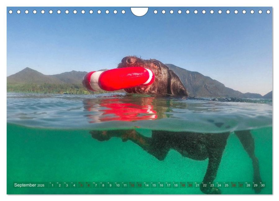 InsideView 14