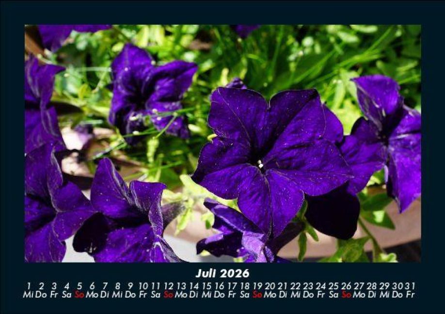 InsideView 11