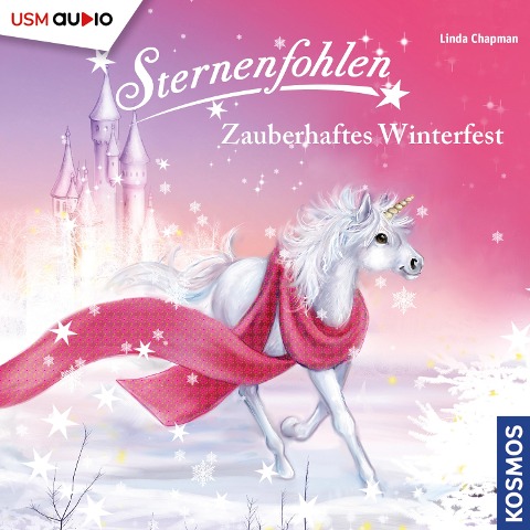 Zauberhaftes Winterfest - Linda Chapman