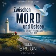 Cover-Bild zum Titel 'Verbranntes Grab' von 'Nele Bruun'