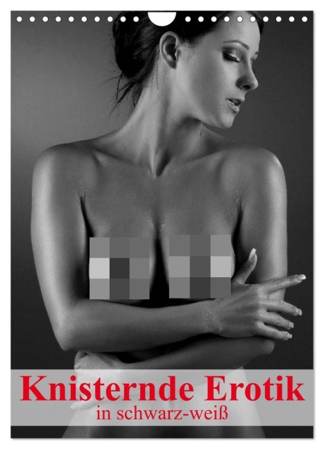 Knisternde Erotik in schwarz-weiß (Wandkalender 2026 DIN A4 hoch), CALVENDO Monatskalender - Elisabeth Stanzer