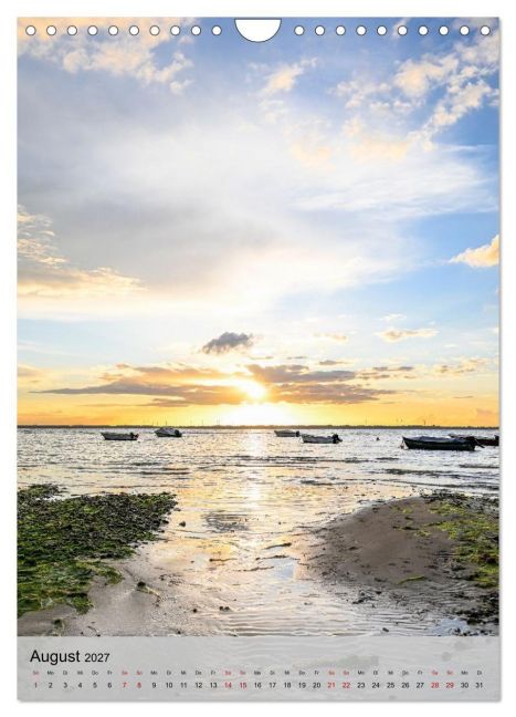 InsideView 13