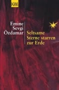 Cover-Bild zum Titel 'Seltsame Sterne starren zur Erde' von 'Emine Sevgi Özdamar'