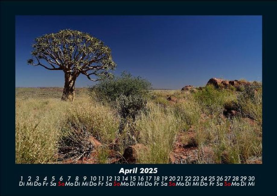 InsideView 8