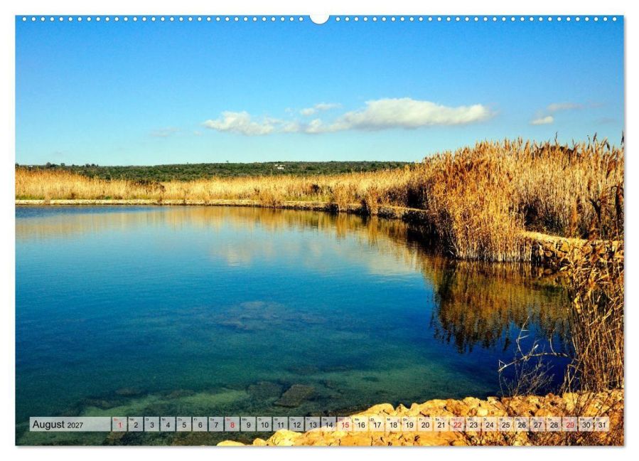 InsideView 12
